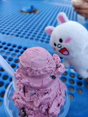 Handel's Homemade Ice Cream & Yogurt by null