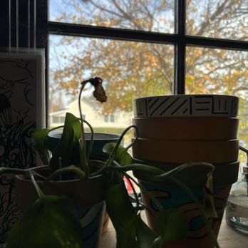 Little Native Coffee - Window from the seating area - Coffee & Tea Near Me - Raleigh, North Carolina