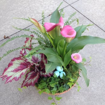 Bowl & Bloom - Spring planter - Florists Near Me Bowl & Bloom - Spring planter - Florists Near Me