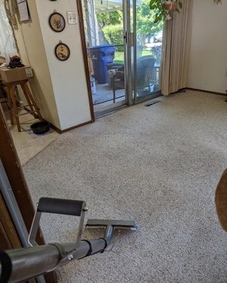 Our carpet cleaning before and after pictures - At Ever Steam Carpet that is Top Carpet Cleaning Company in Denver, it’s our mission to exceed your expectations. That is with cleaning as well as restoration services that will leave you feeling “feeling “joyfully, much later.” This obligation to unmatched help is the fundamental stimulus behind our six-step cover cleaning process. It is planned to get profound into cover strands to get free of the dirt, allergens, and contaminants. Even the most excellent vacuums and rented carpet cleaners leave behind.