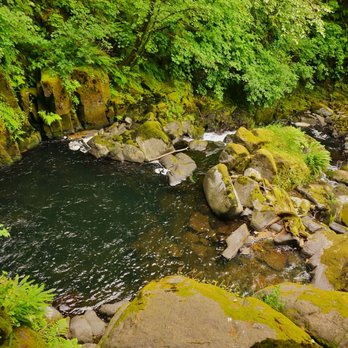 Sweet creek trail - View from the upper platform - Hiking Near Me - Mapleton, Oregon Sweet creek trail - View from the upper platform - Hiking Near Me - Mapleton, Oregon