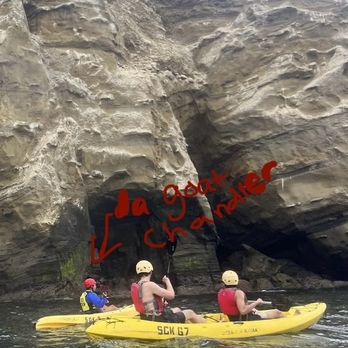 La Jolla Sea Cave Kayaks photo 9