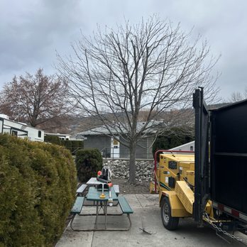 Timberwolf Tree Service - Tree Services Near Me Timberwolf Tree Service - Tree Services Near Me