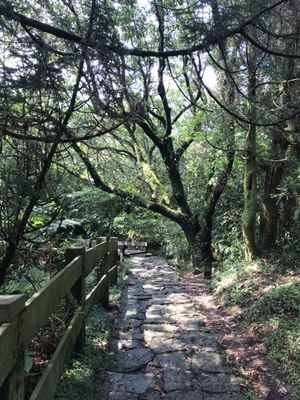 Yangmingshan National Park by null