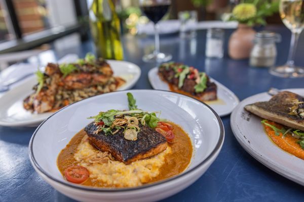 Milo All Day by null