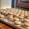 Bakeologists gift card