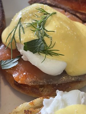 Capo & The Spritz by null