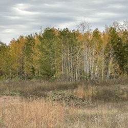 Wargo Nature Center