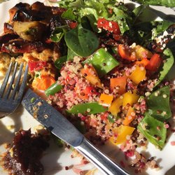 Wild Zucchini Organic Cafe - A plate for of colour! Frittata with two types of salad, all really fresh, tasty and vegetarian.