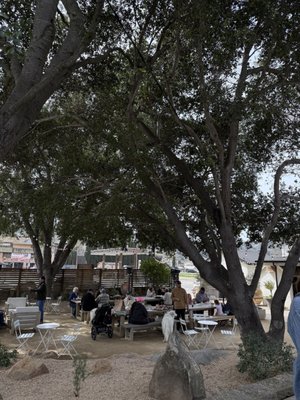 Priedite Barbecue by null