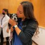 Photo of Heart of Chelsea Veterinary Group - Chelsea