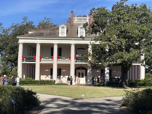 Oak Alley Plantation by null