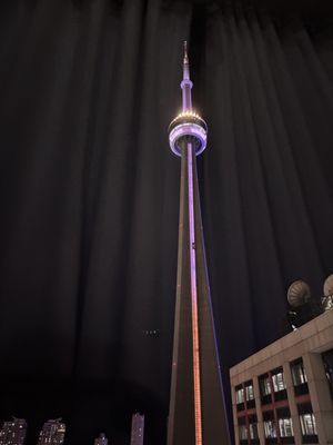 CN Tower by null