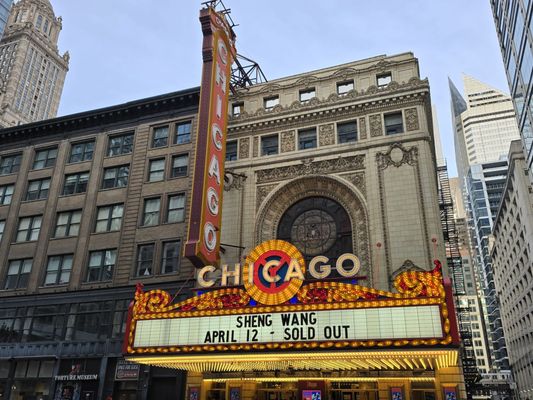 The Chicago Theatre by null