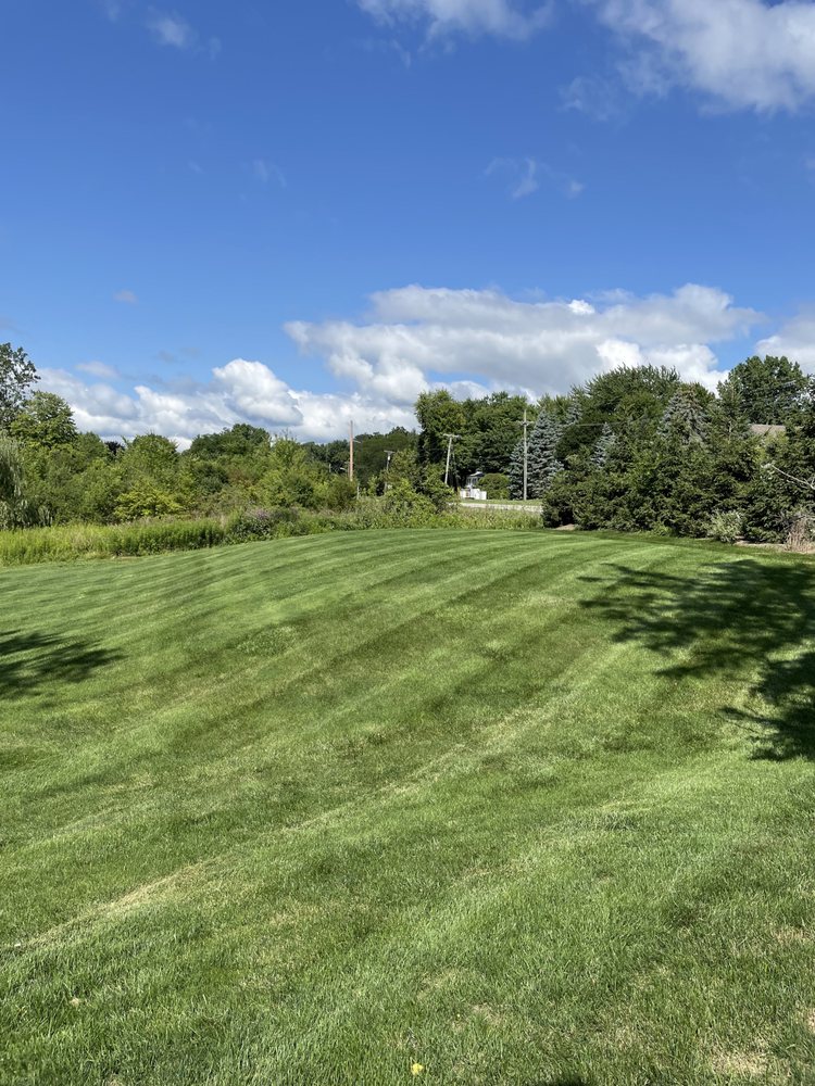 TEELS LAWN & SNOW Updated July 2024 10 Photos Ypsilanti, Michigan