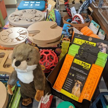 Pet Wants GVL - Puzzle toys - Pet Stores Near Me - Greenville, South Carolina Pet Wants GVL - Puzzle toys - Pet Stores Near Me - Greenville, South Carolina