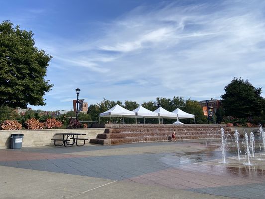 Washington Park by null
