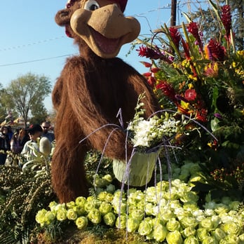 Float Fest - Festivals Near Me - Pasadena, California Float Fest - Festivals Near Me - Pasadena, California