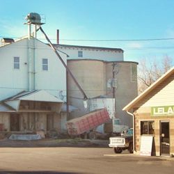 Leland Mills