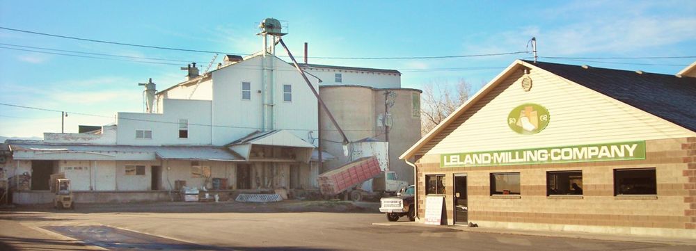 Leland Mills Image