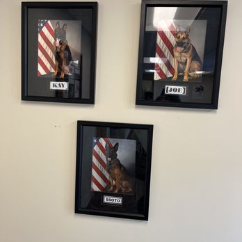 Hill AFB Veterinary Services - Veterinarians Near Me - Hill AFB, Utah Hill AFB Veterinary Services - Veterinarians Near Me - Hill AFB, Utah