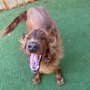 Photo of Little's Playhouse