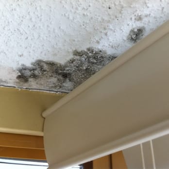 World Mark At Cascade Lodge - Black mold at Cascade Lodge - Hotels Near Me - Whistler, British Columbia World Mark At Cascade Lodge - Black mold at Cascade Lodge - Hotels Near Me - Whistler, British Columbia