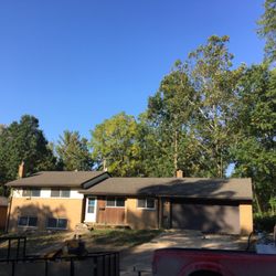 Freier Forestry - After the tree removals