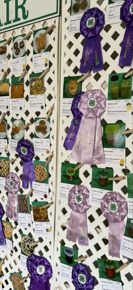 Social spots from Montgomery County 4-H