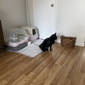 MedVet Mountain View - Veterinarians Near Me - Mountain View, California