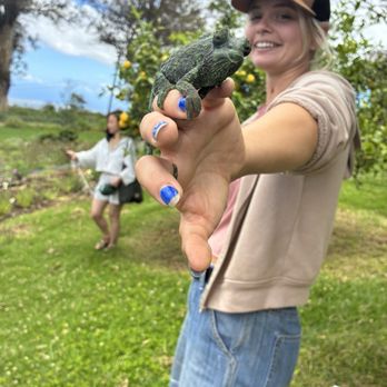O'o Farms - Chameleon! - Food Tours Near Me - Kula, Hawaii