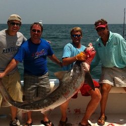 Gullah Gal Fishing - Summer Tiger Shark with just a bit of lip stick on True Grits.