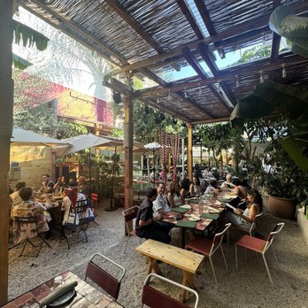 Tacolina - Vibes - Cocktail Bars Near Me - Los Angeles, California Tacolina - Vibes - Cocktail Bars Near Me - Los Angeles, California