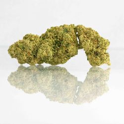 Northern Light Cannabis