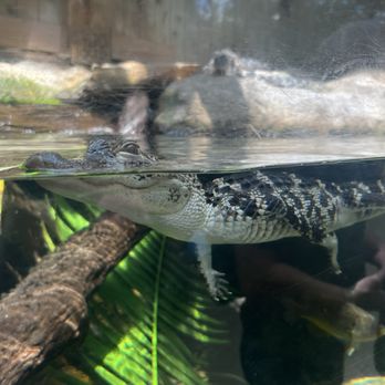 The Florida Aquarium - Aquariums Near Me - Tampa, Florida