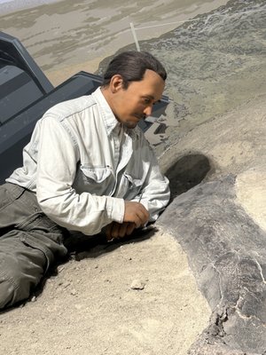 Mountain America Museum of Ancient Life at Thanksgiving Point by null