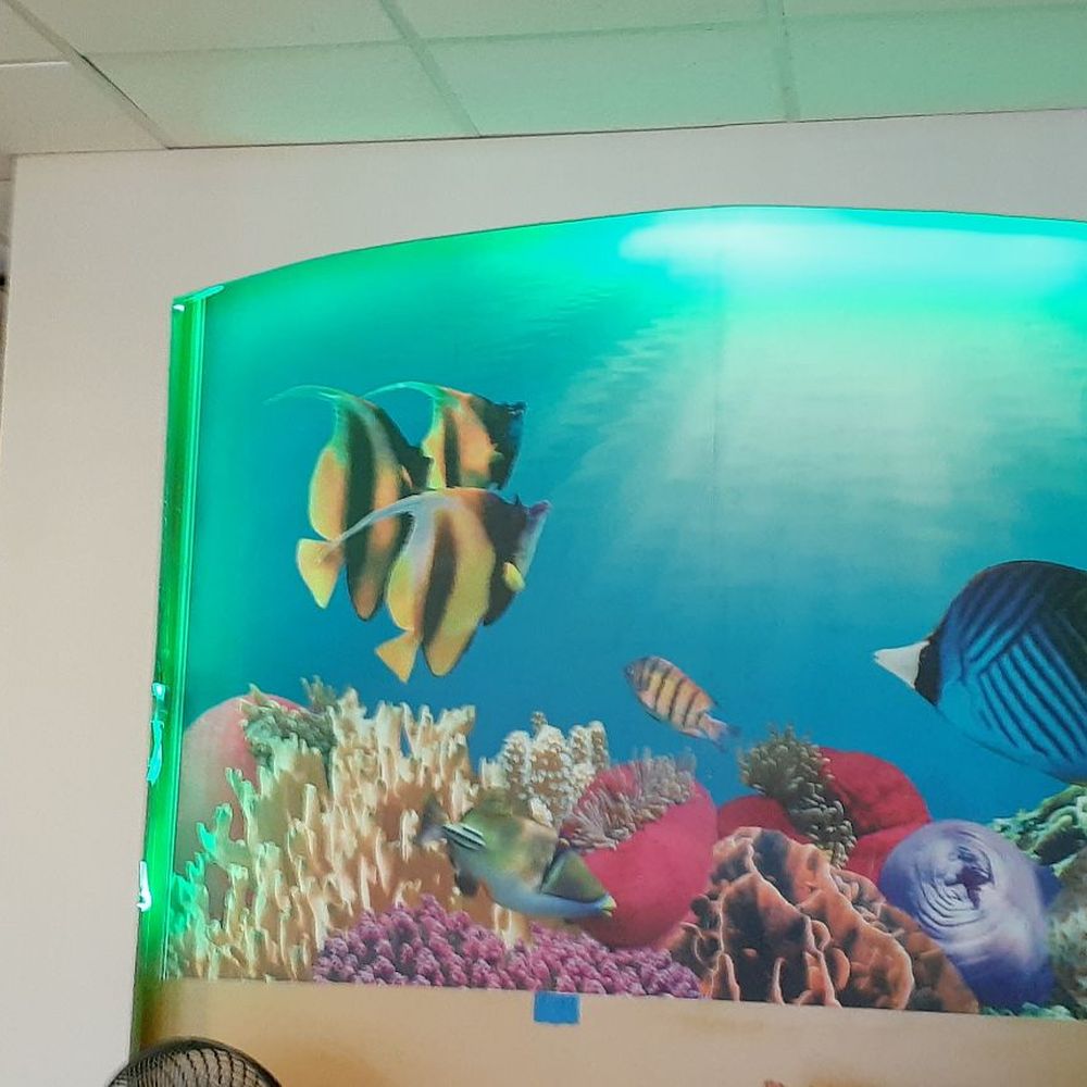 VIP Nail & Spa - Relaxing photo of fish - Nail Salons Near Me - Lake Dallas, Texas VIP Nail & Spa - Relaxing photo of fish - Nail Salons Near Me - Lake Dallas, Texas
