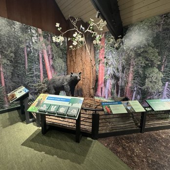 Wuksachi Lodge - Stop by the visitor center and get a stamp! - Hotels Near Me - Sequoia National Park, California Wuksachi Lodge - Stop by the visitor center and get a stamp! - Hotels Near Me - Sequoia National Park, California