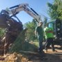 Photo of Green Empire Tree Service