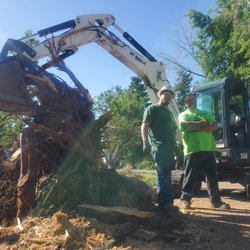 Green Empire Tree Service - The Green Team helping remove HUGE root balls after our giant fir trees blew over.