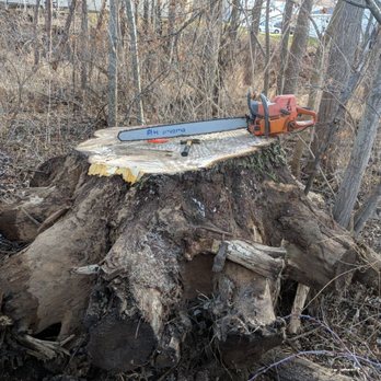 Extreme Trees - Big walnut - Tree Services Near Me Extreme Trees - Big walnut - Tree Services Near Me