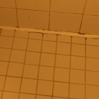 Society Hill Hotel - Gross gross gross!!! - Hotels Near Me - Philadelphia, Pennsylvania
