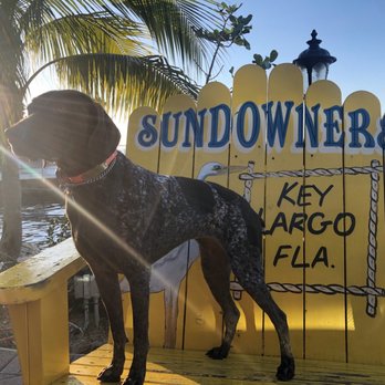 Sundowners - Sunset beauty - Seafood Near Me - Key Largo, Florida Sundowners - Sunset beauty - Seafood Near Me - Key Largo, Florida