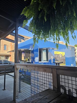 The Good Egg by null