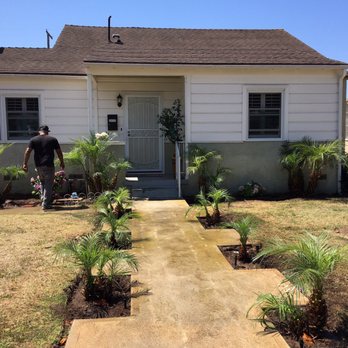 Commercial Tree Services - Tree Services Near Me - Los Angeles, California Commercial Tree Services - Tree Services Near Me - Los Angeles, California