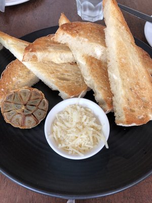 Vivo Palm Cove by null