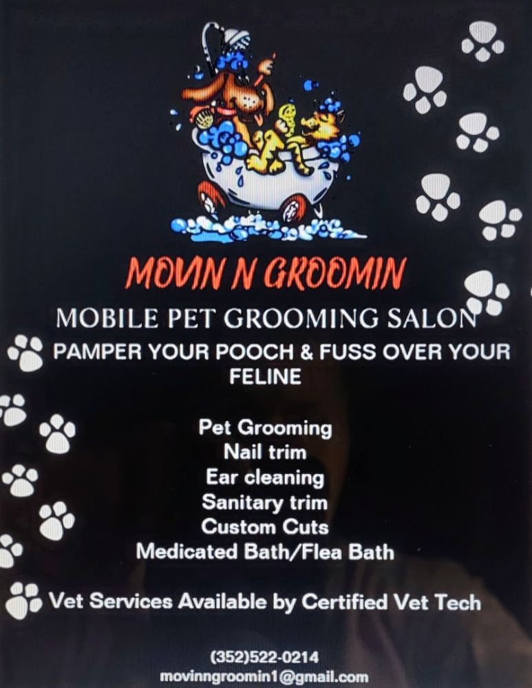 Movin N Groomin Image