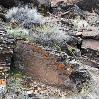 Griffith Canyon Petroglyphs - Hiking Near Me - Spanish Springs, Nevada