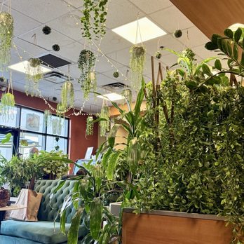 Shemda Crepes, Drinks & More - Acai Bowls Near Me - Chino, California Shemda Crepes, Drinks & More - Acai Bowls Near Me - Chino, California