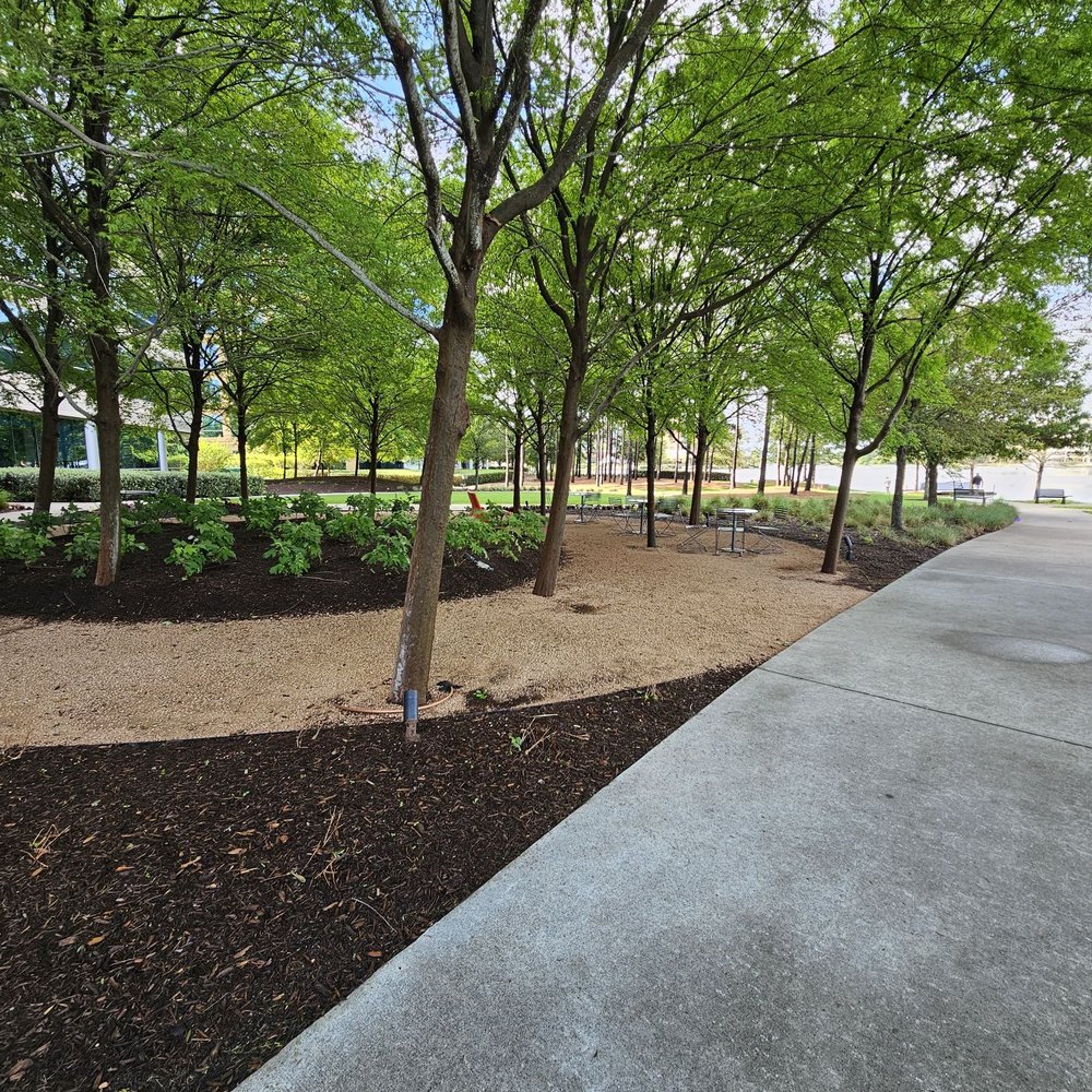 Northshore Park - Parks Near Me - The Woodlands, Texas Northshore Park - Parks Near Me - The Woodlands, Texas